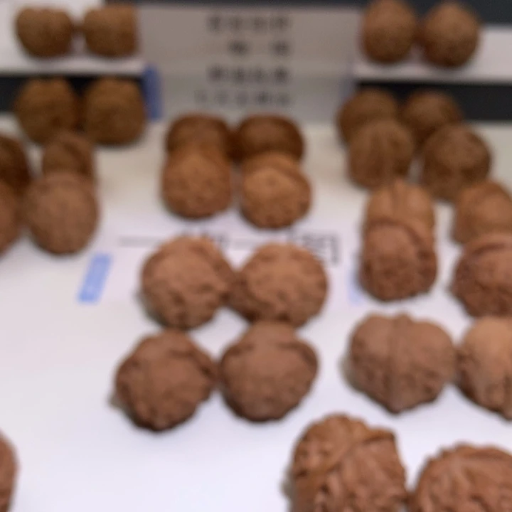 桃核吊坠用****5文玩核桃苹果圆