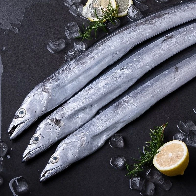 新鲜野生海钓带鱼肉质鲜嫩可清蒸适合家庭烹顺丰包邮