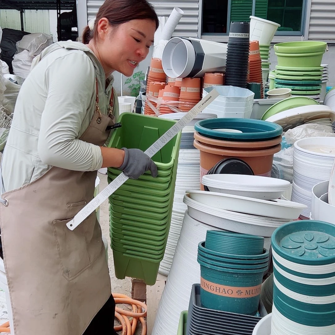 瑕疵方盆F22#果绿色5个无托