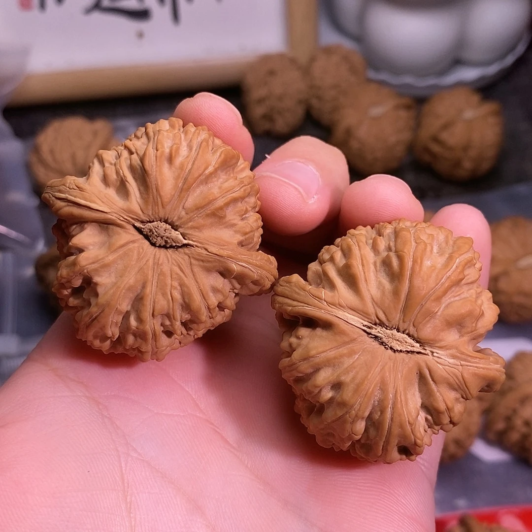 心***然文玩核桃把件白狮子42