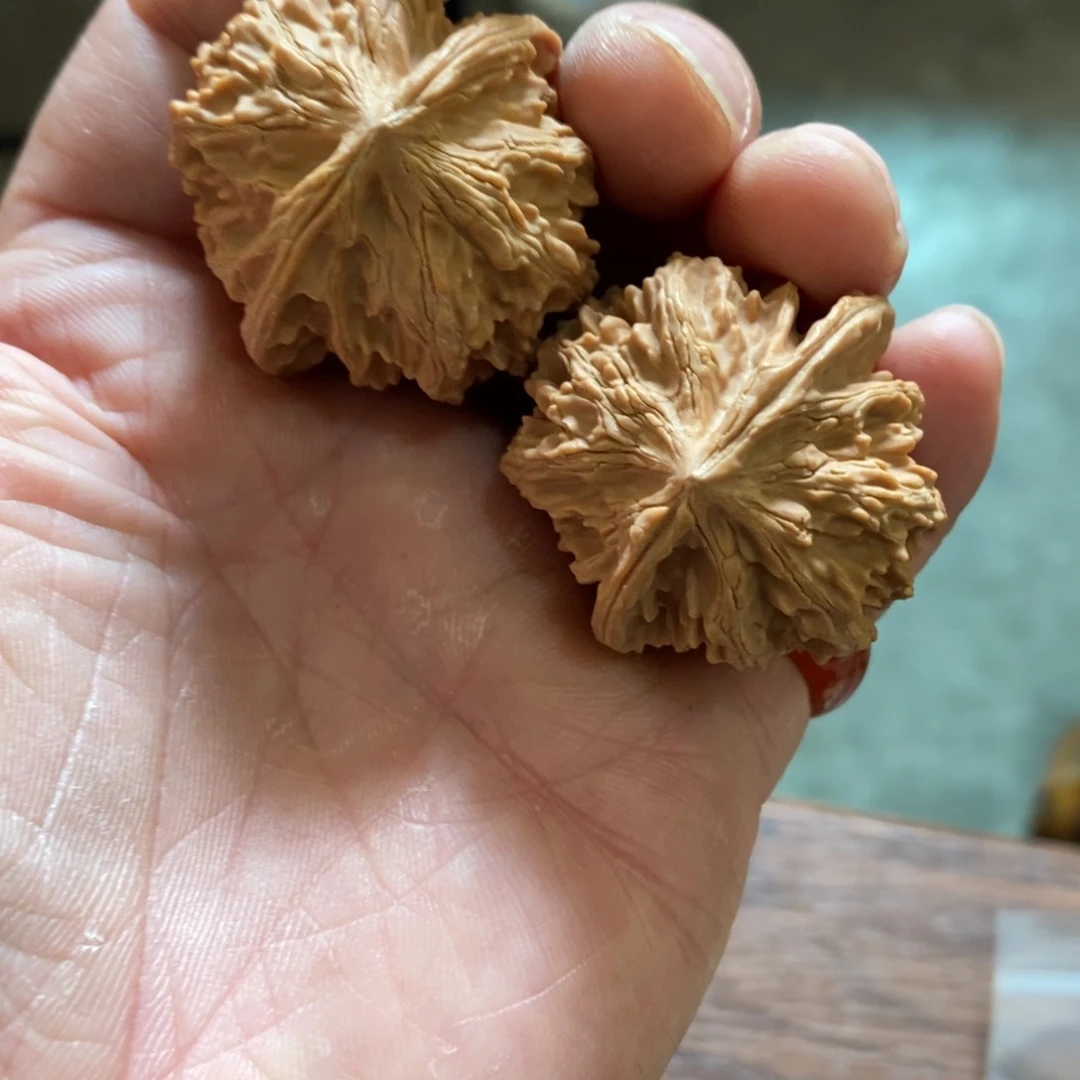 秦岭山脉东面临湖