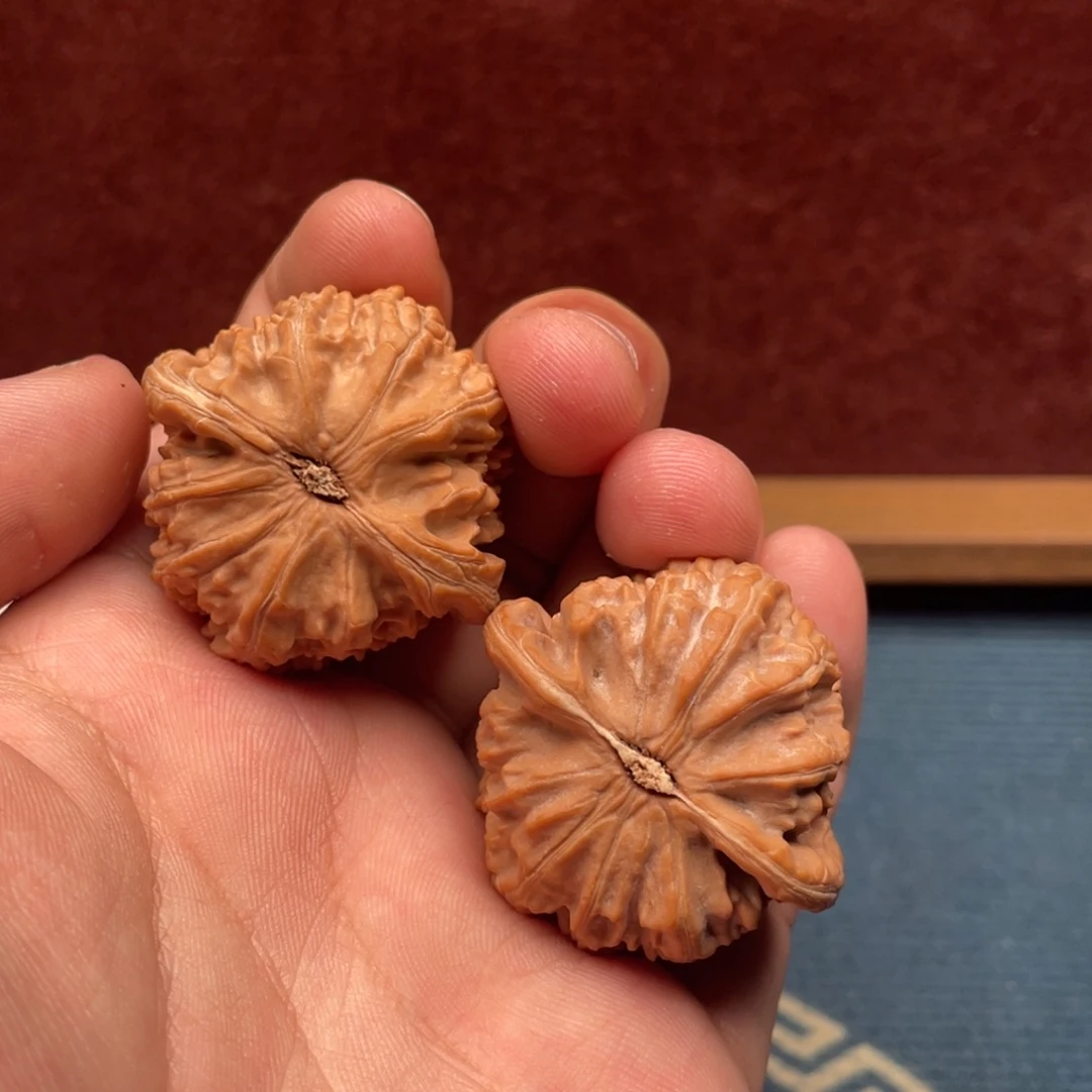 M***.文玩核桃白狮子39尺