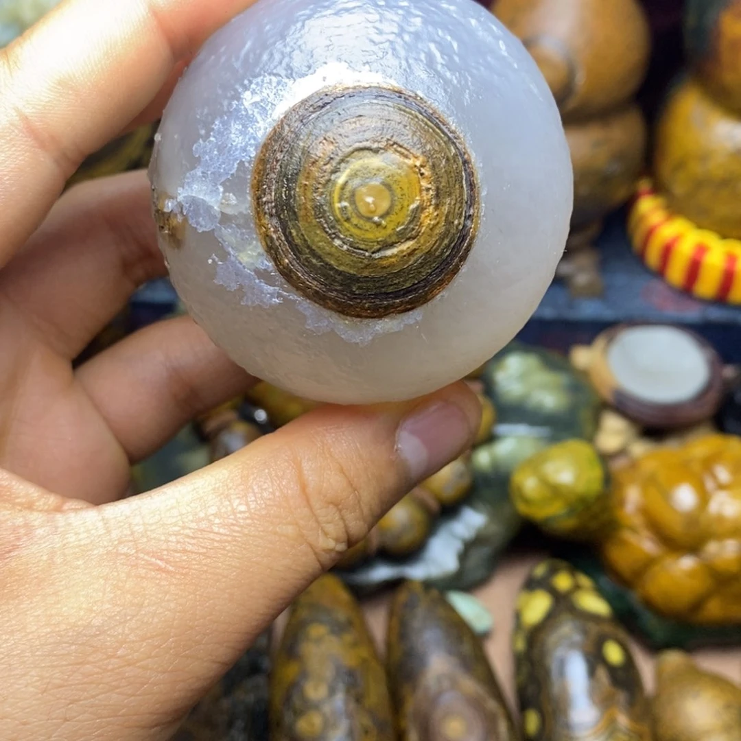 大叶紫檀（黑酸枝木类）来***纪