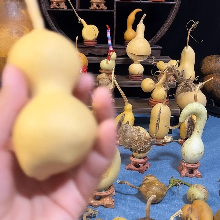 阿***1大叶紫檀(黑酸枝木类)