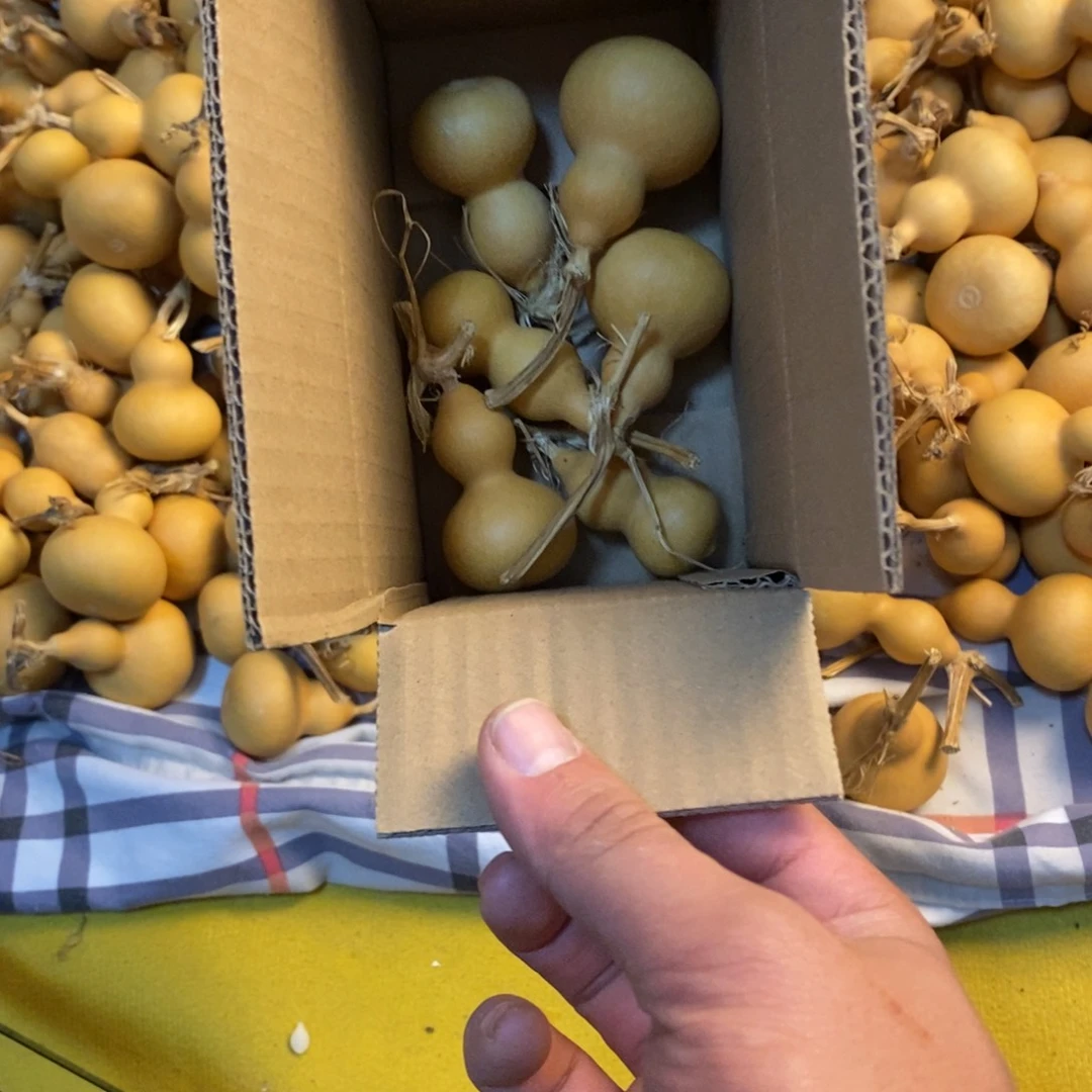 天***座包邮包邮包邮包邮