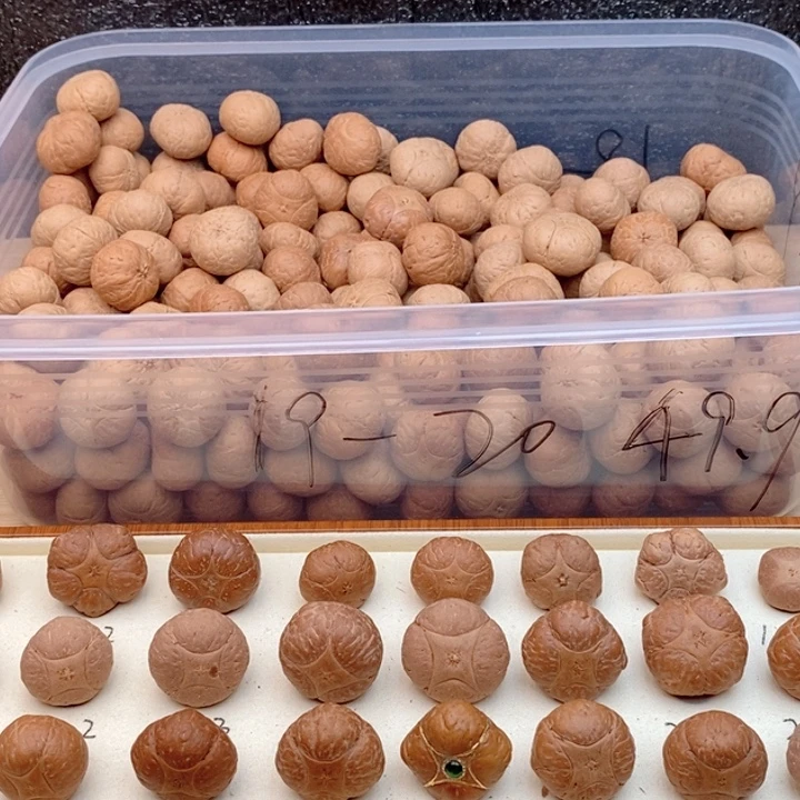 陌***人吊坠凤眼菩提麒麟