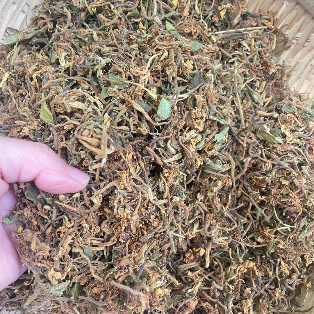 【张近】粤北大山农家晾晒金银花头茬开花清香金银花