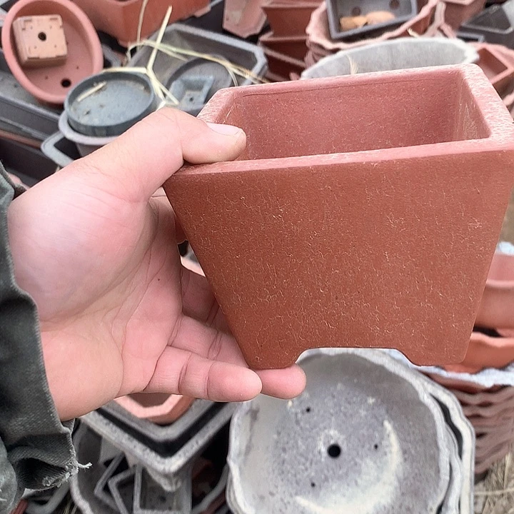 紫砂优秀奖等多名学生