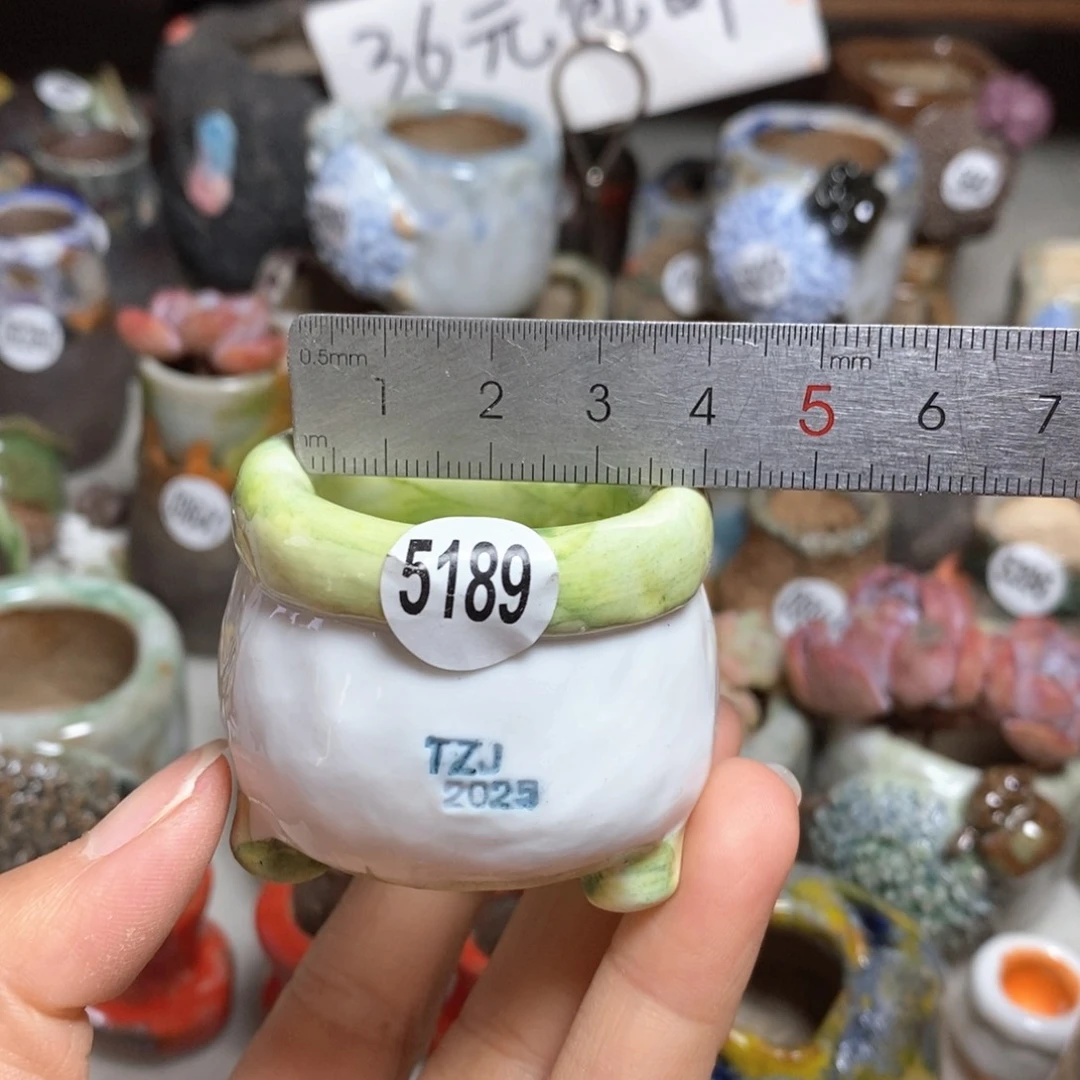 拍3送一个小礼物