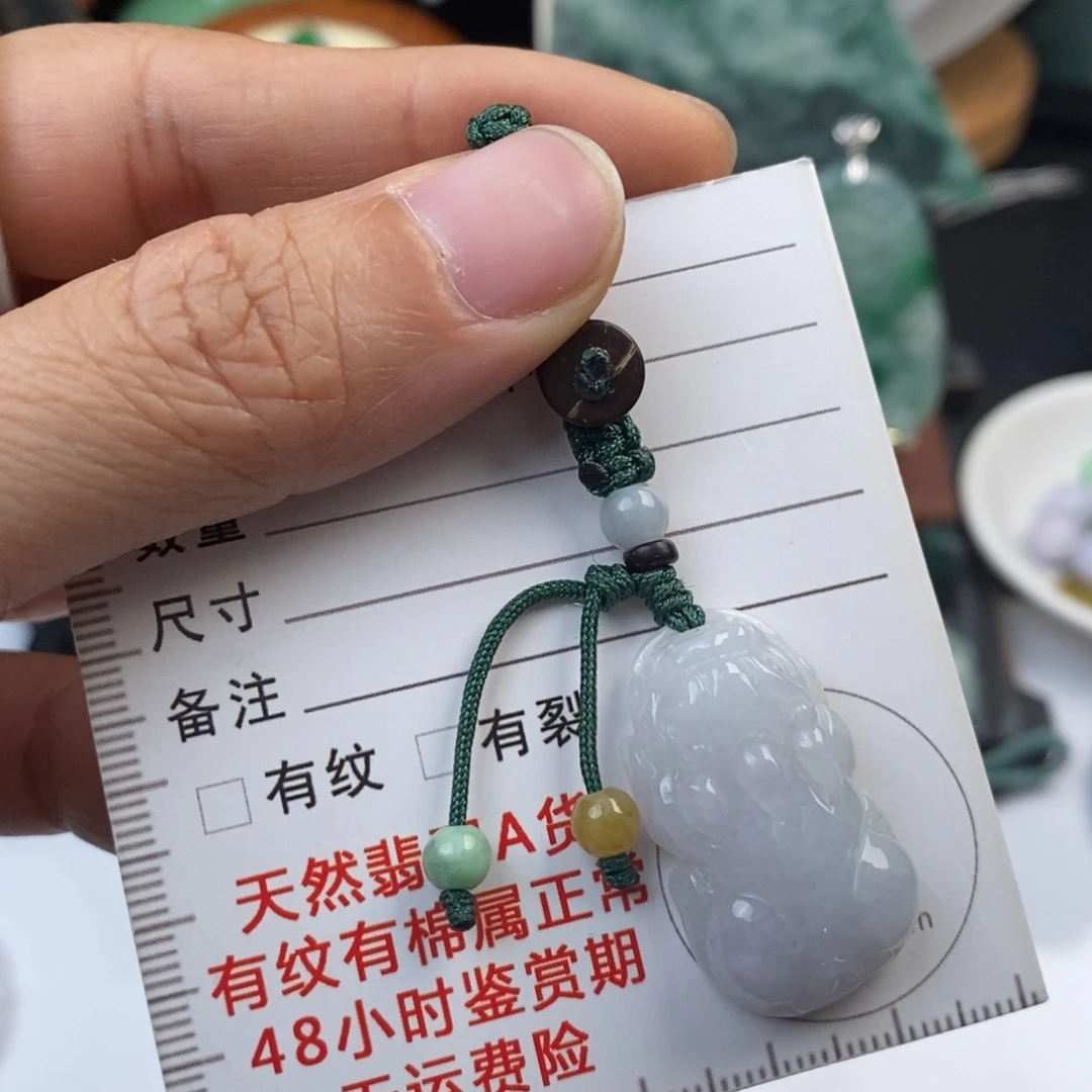 翡翠未镶嵌颈饰貔貅