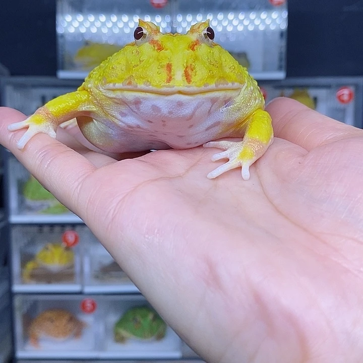 特价秒杀现货特价