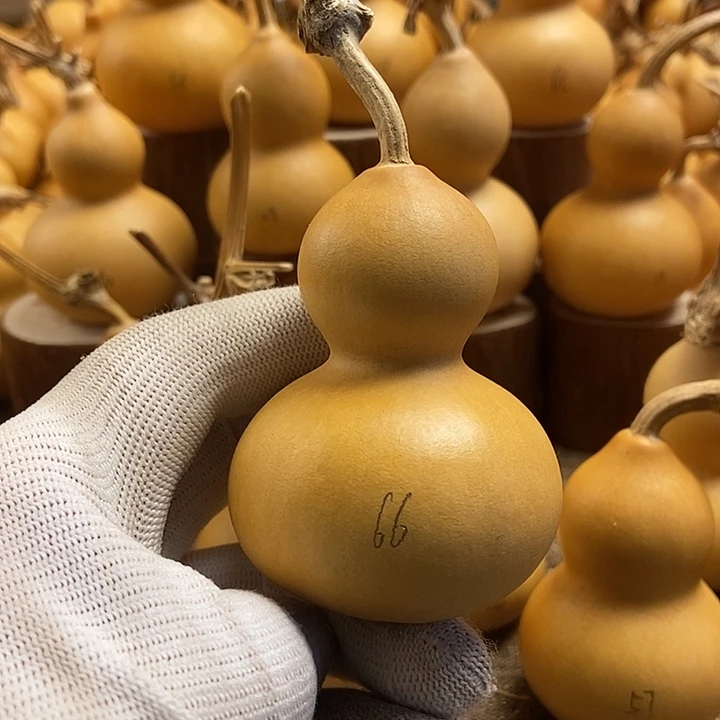 文玩葫芦 完美主义者 慎拍66