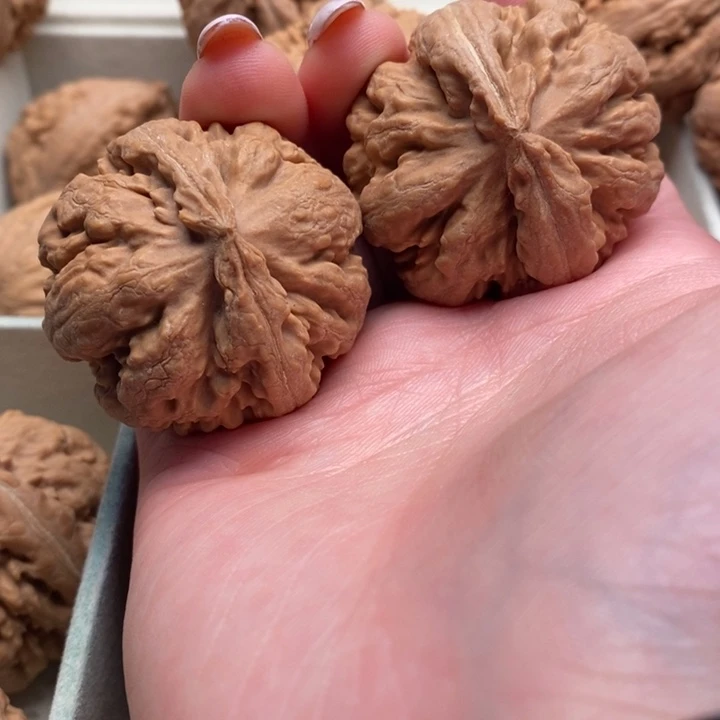 棕***树霸王龙全品无修一刀没动