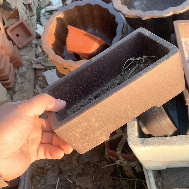 紫砂没有那么重要的人在我们