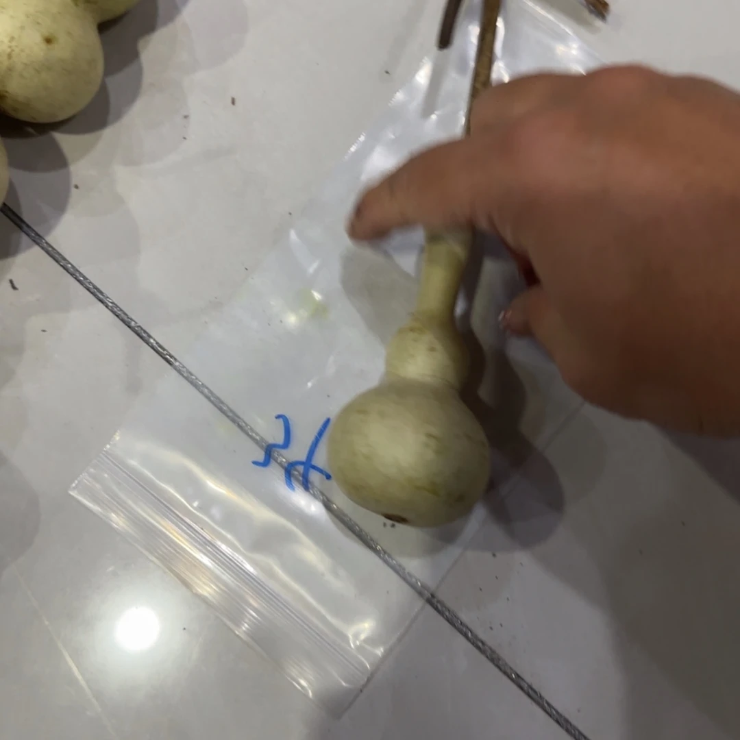 柠****青皮不包成青皮不包成