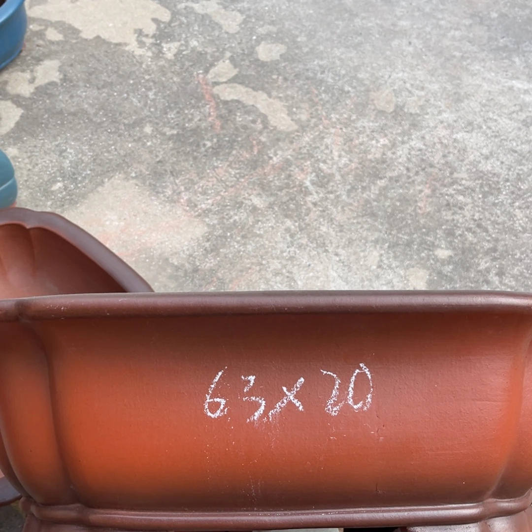 紫砂花盆盆景艺术