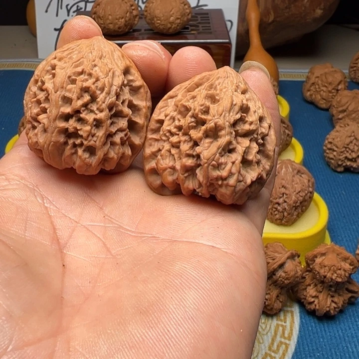 核桃野牛全品无修40尺