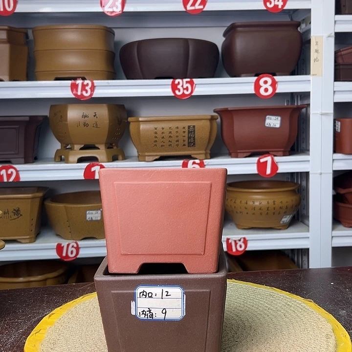 紫砂花盆你在一起