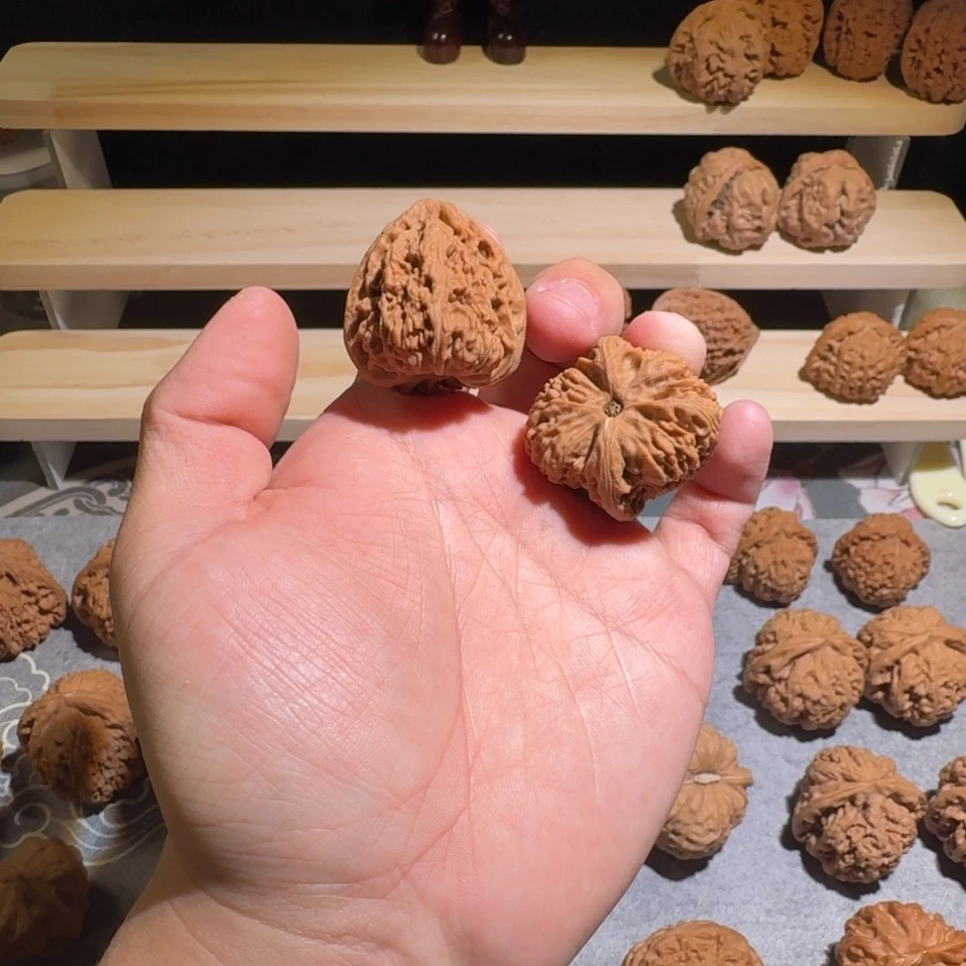 诵***叶大叶紫檀（黑酸枝木类）