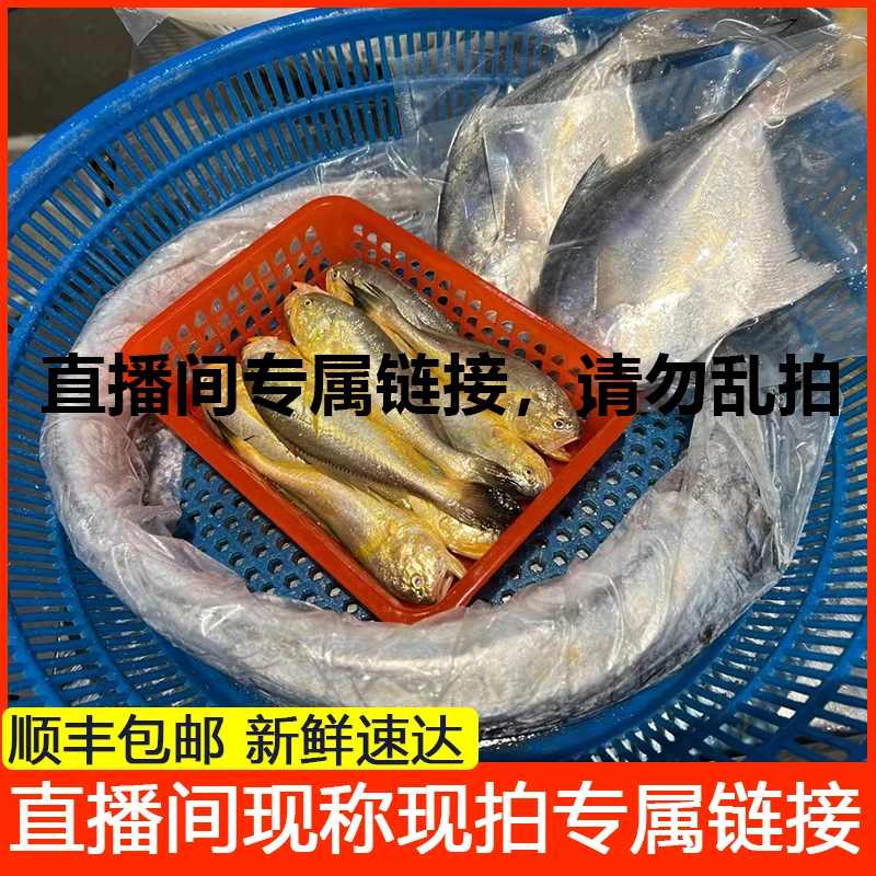 直播间各种新鲜鱼虾现称现拍链接，请勿乱拍
