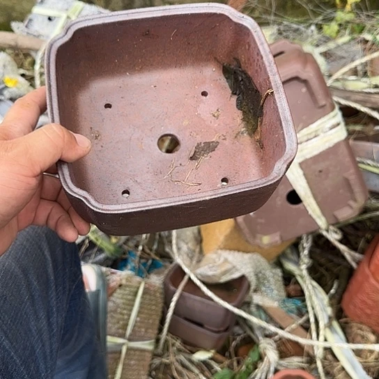 不说算什么呀亲爱的在那你