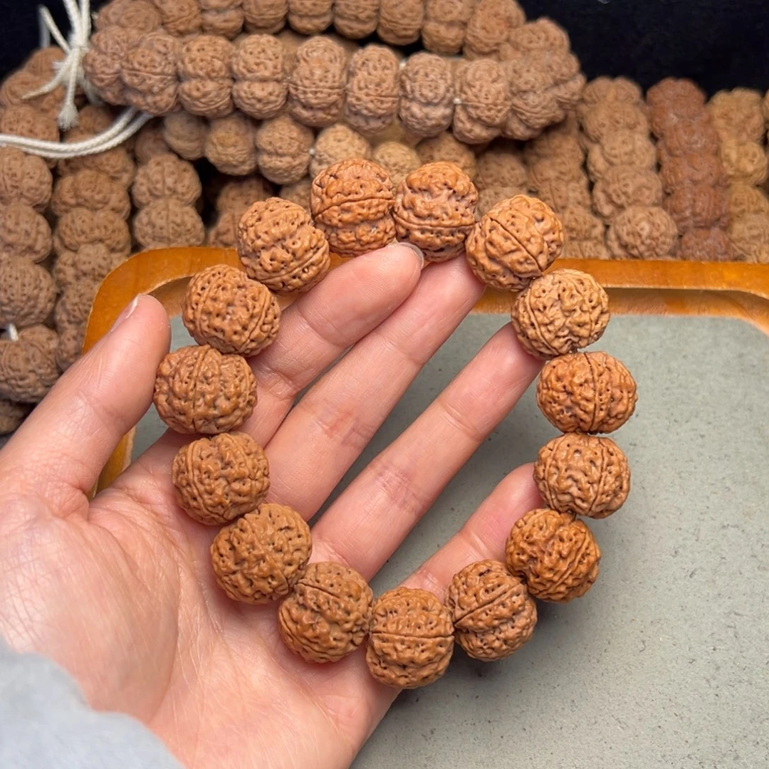 菩提37号金刚菩提满肉梅花21