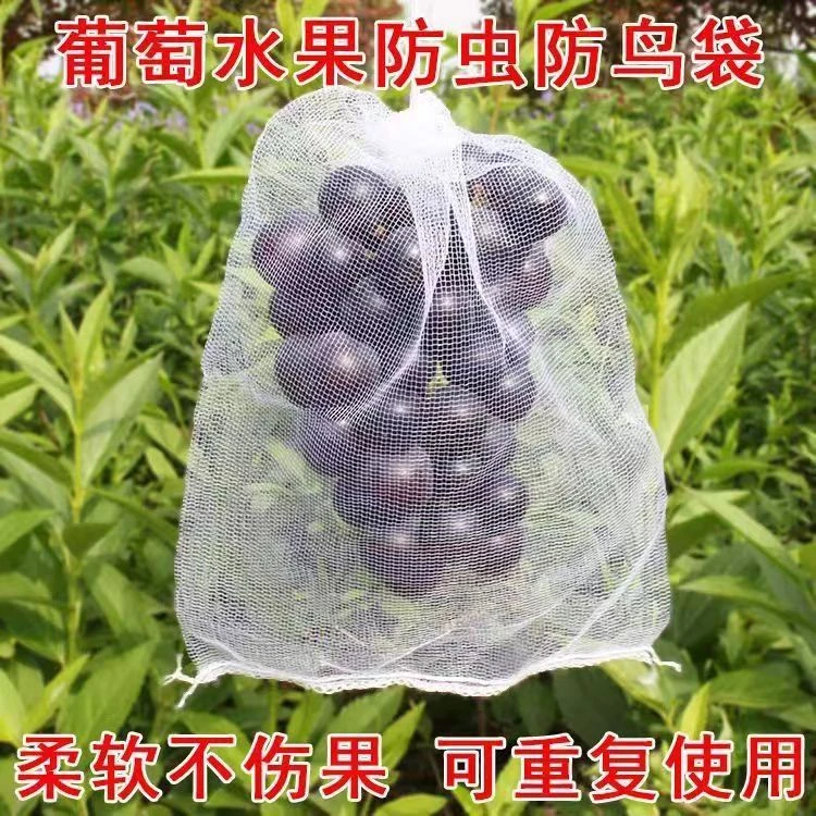 果蔬套袋葡萄套袋水果套袋防虫防鸟防果蝇网袋白色网袋带抽绳
