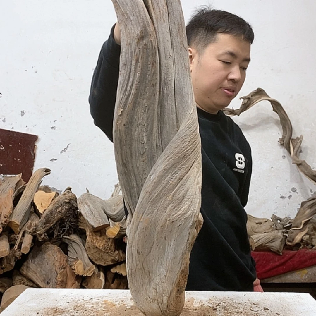 【闪购商品】柏木小*倩我们都是好孩子