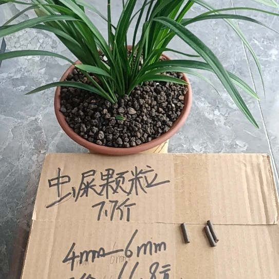 自***苑兰菌黑山土虫屎颗粒7.7斤
