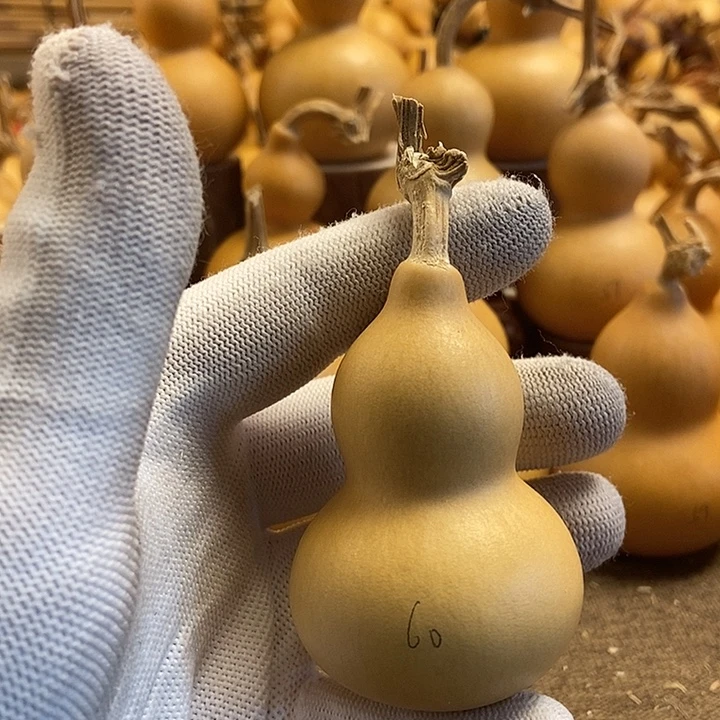 文玩葫芦 完美主义者 慎拍60