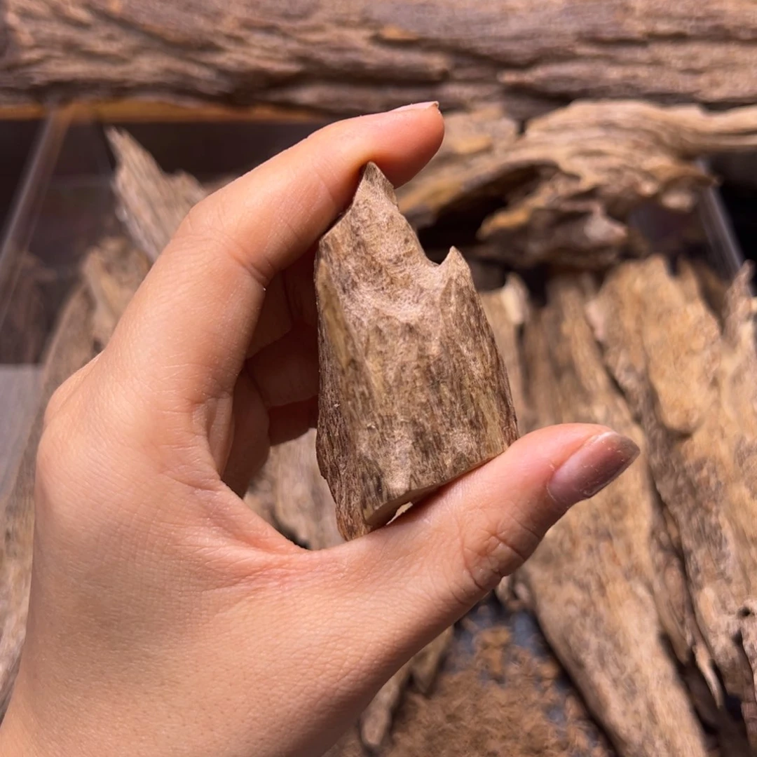 【闪购商品】香榧木木艺品海南大山虎斑棋原料福利