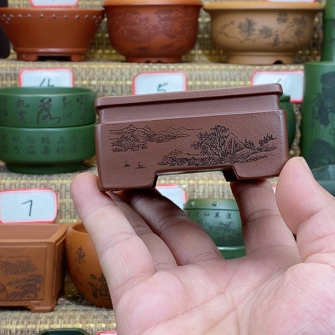 紫砂花盆我在等一