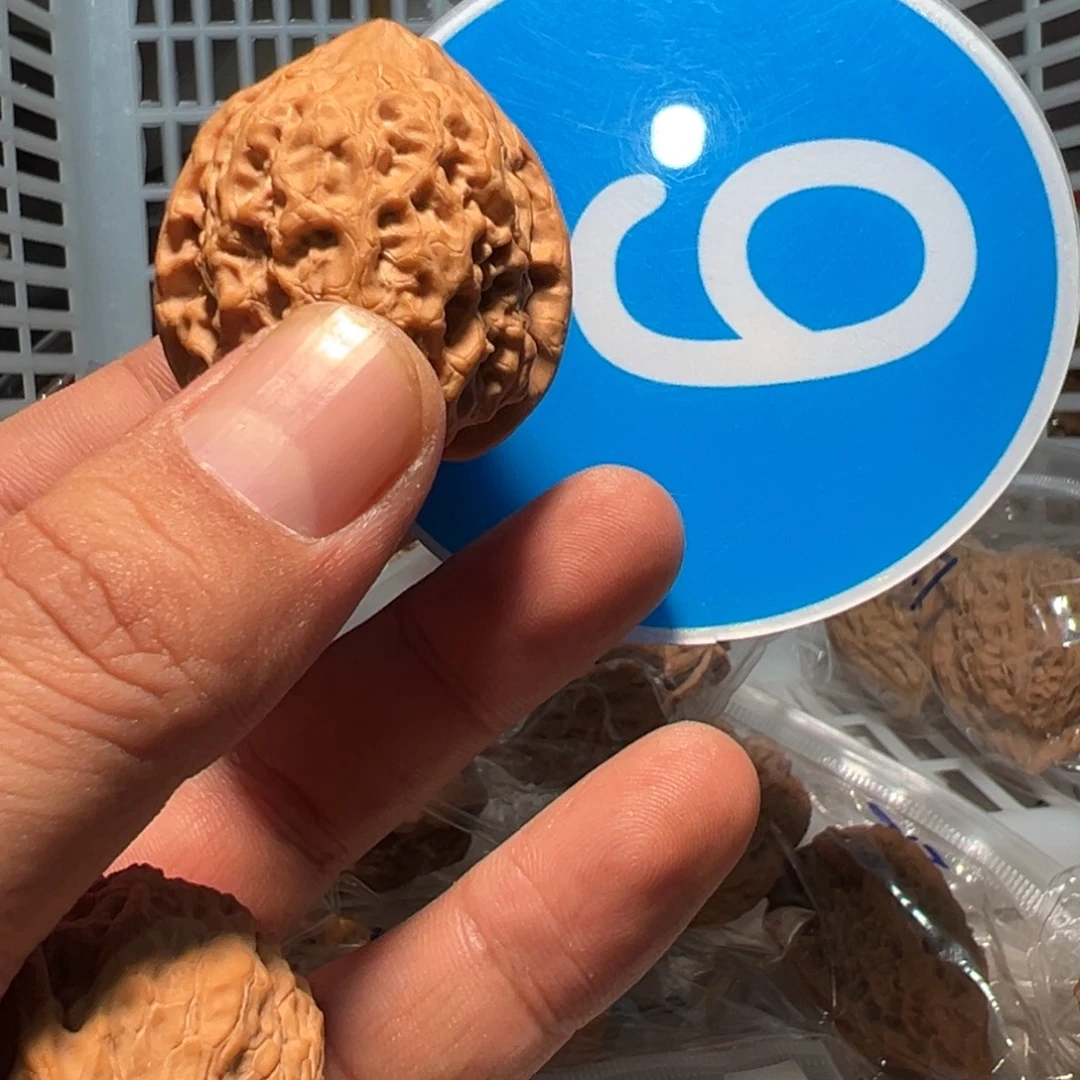 T***—文玩核桃，蓝色06号