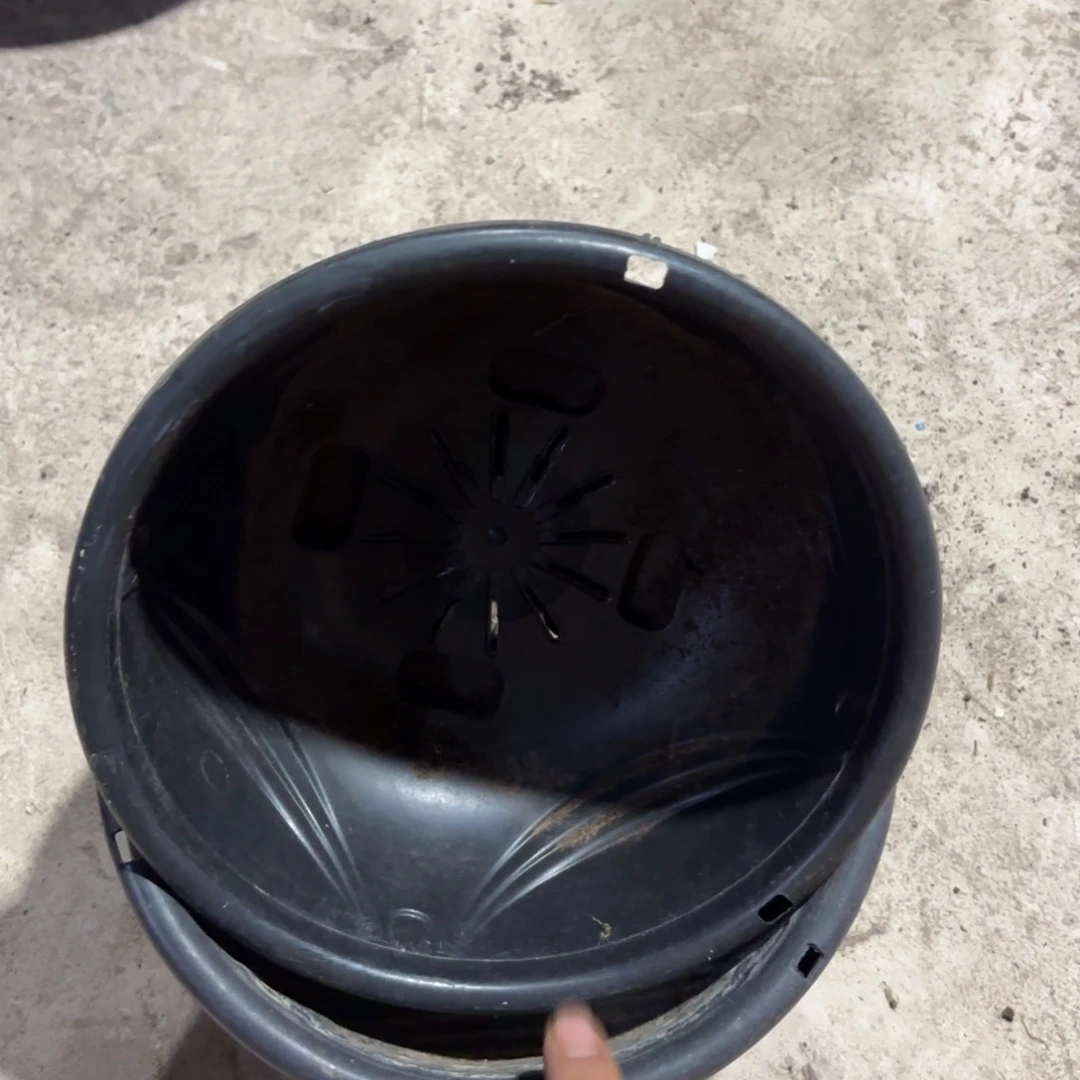 吊兰盆210口径发20个