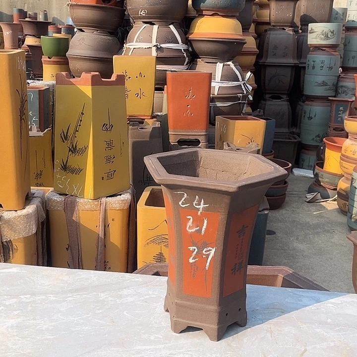 紫砂紫砂花盆盆栽