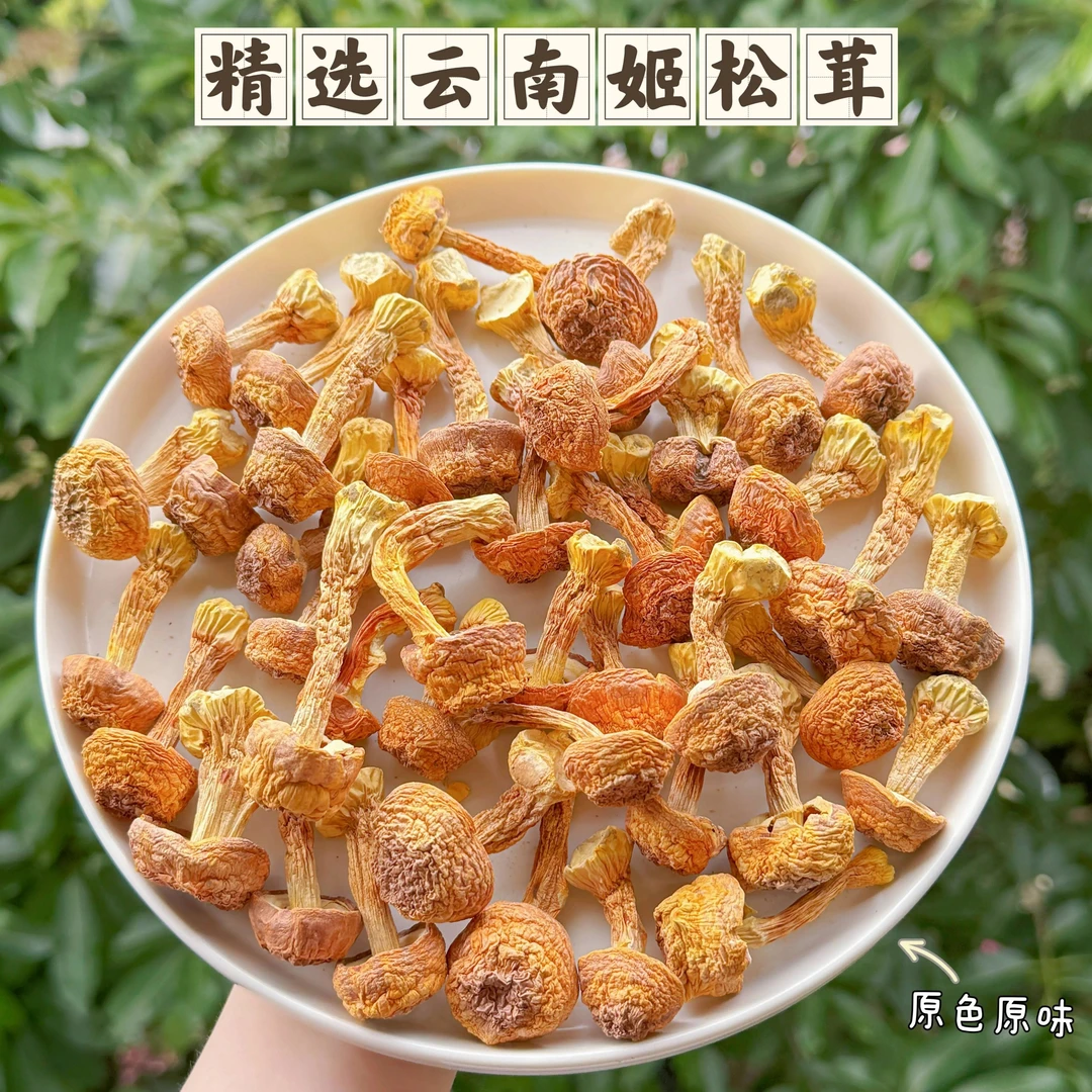 云南姬松茸干货500g无熏硫未开伞小菇巴西菇特产类野生松茸菇