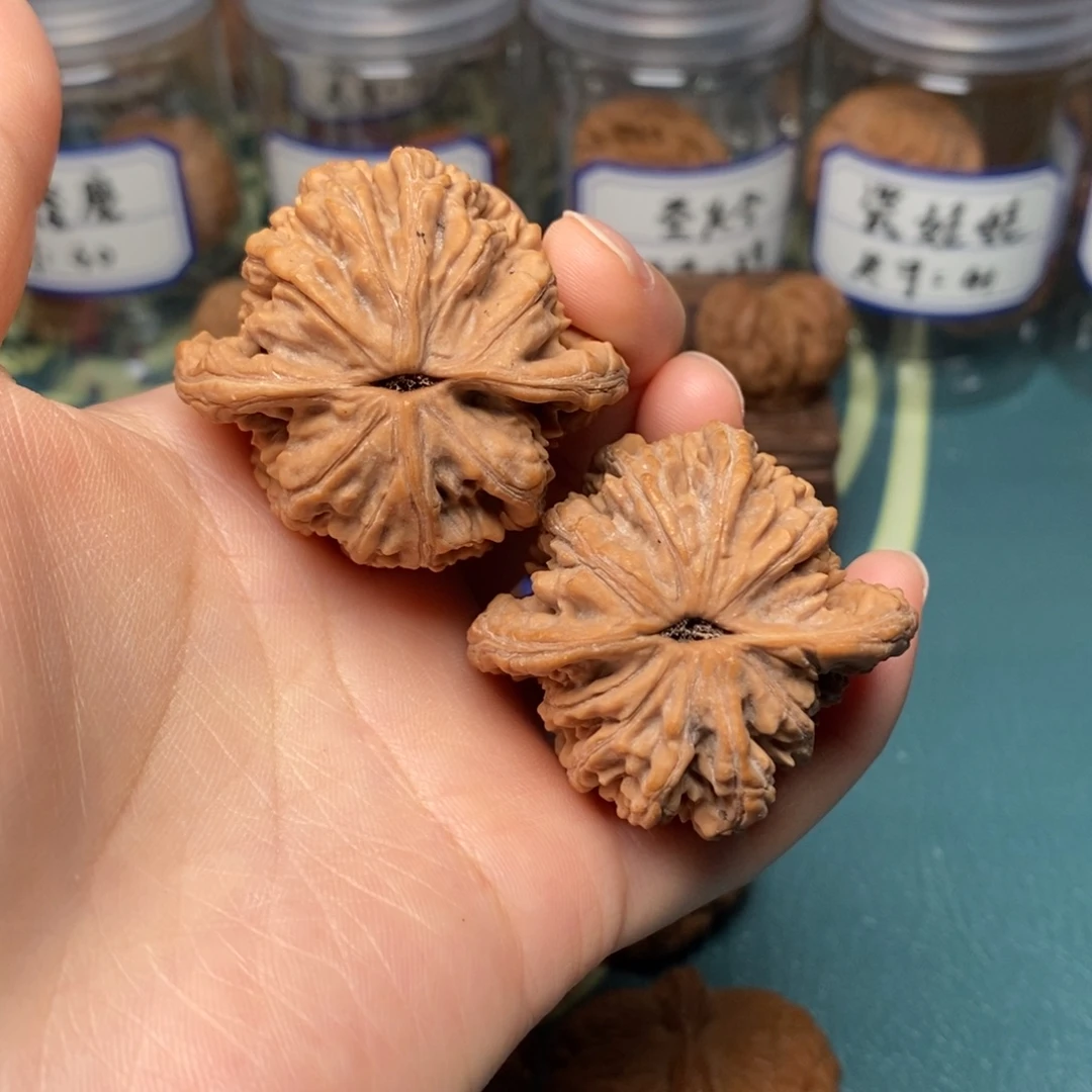 核桃43尺全品麦穗虎头