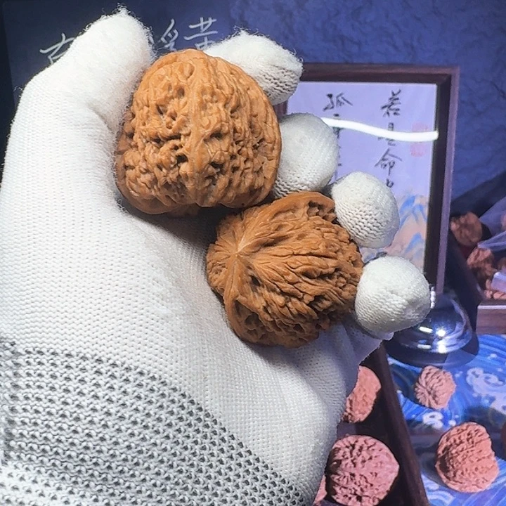 小***年大叶紫檀（黑酸枝木类）