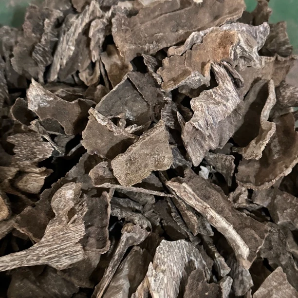 越南冷钻料 沉香    20克