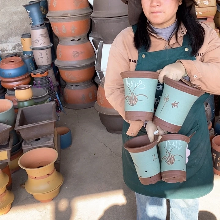 紫砂花盆盆栽花卉苗木种植