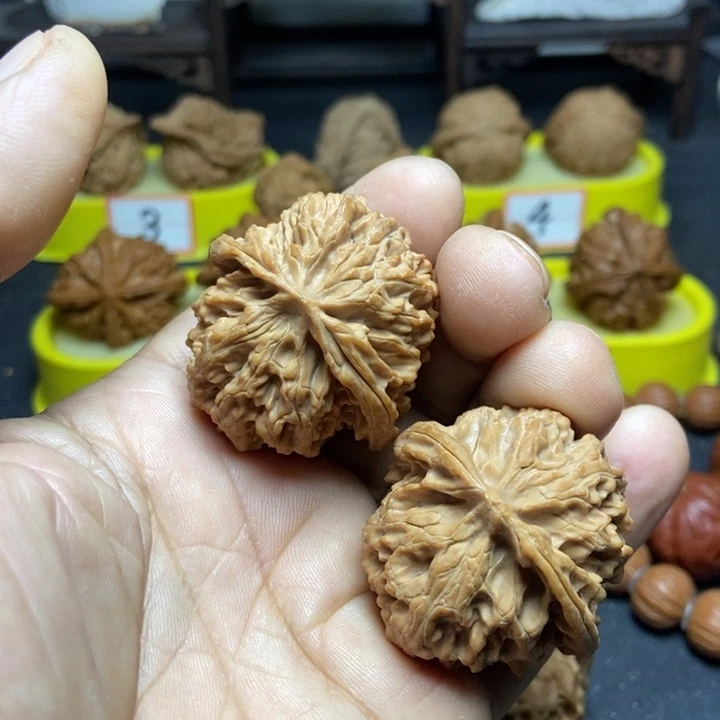 核桃苹果园狮子头007