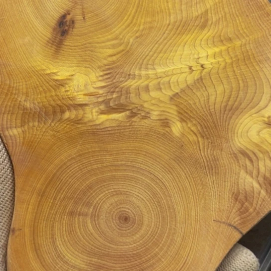 柏木（崖柏）崖柏108