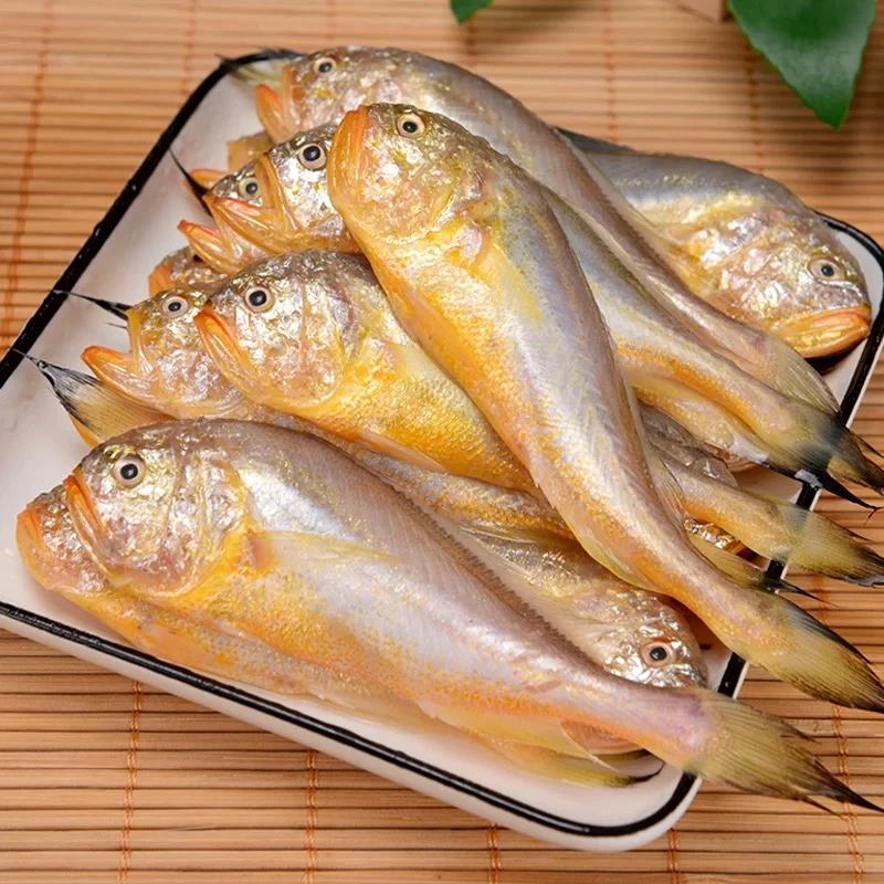 东海大头宝鱼狮头鱼梅童鱼新鲜细腻3斤特大号鱼头