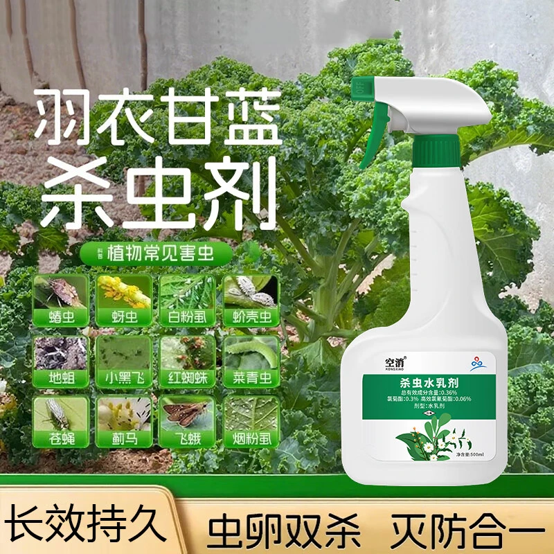 空消羽衣甘蓝杀虫剂蔬菜盆栽除虫菜青虫蚜虫专用打虫喷雾花卉植物