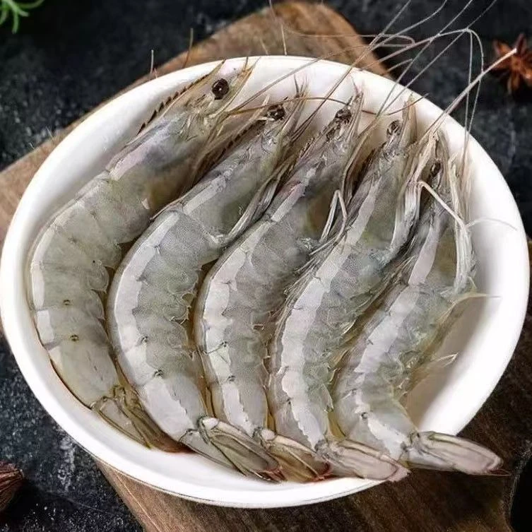 海水大虾5斤 速冻锁鲜 13-16cm(60-75只)冷链发货 12-15只/斤 5包
