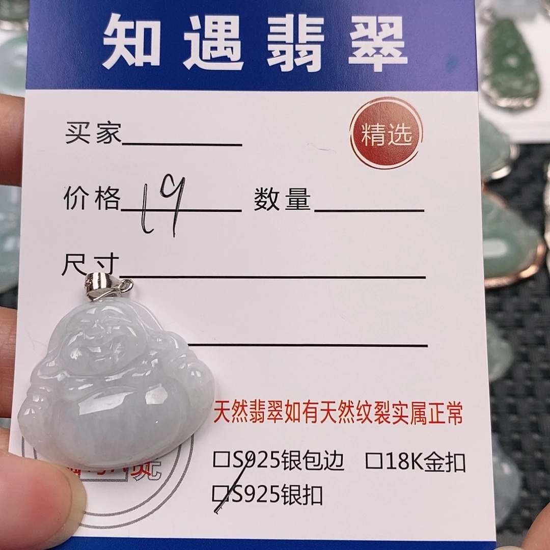 翡翠银S925镶嵌颈饰