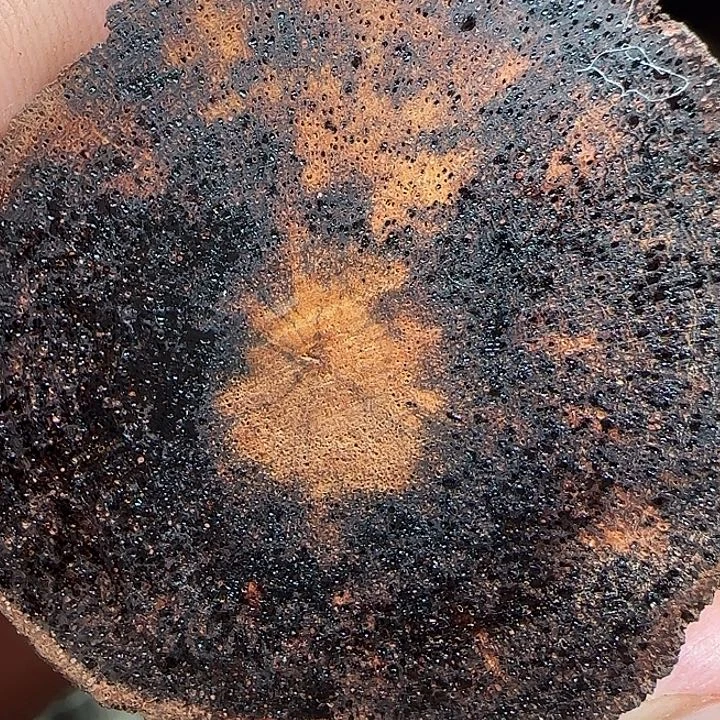 老***周降真香无事牌高端定制88888