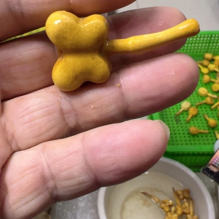 雨**⁷谢谢了哈哈哈哈我的天