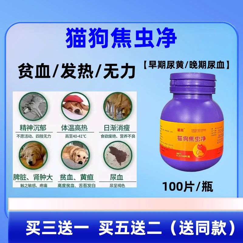 猫狗焦虫净猫狗焦虫感染牙龈发白贫血无力发热尿血犬巴贝斯虫病用