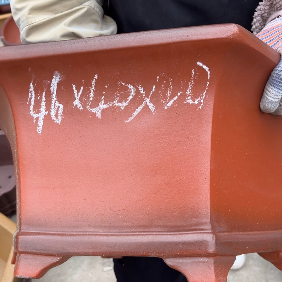 紫砂花盆盆景艺术